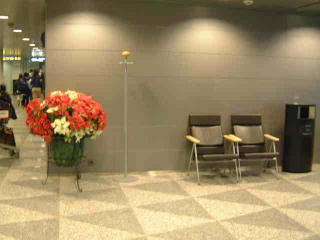 �w���V���L��`�Ō��������������