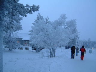 �T�[���Z���J�̒�