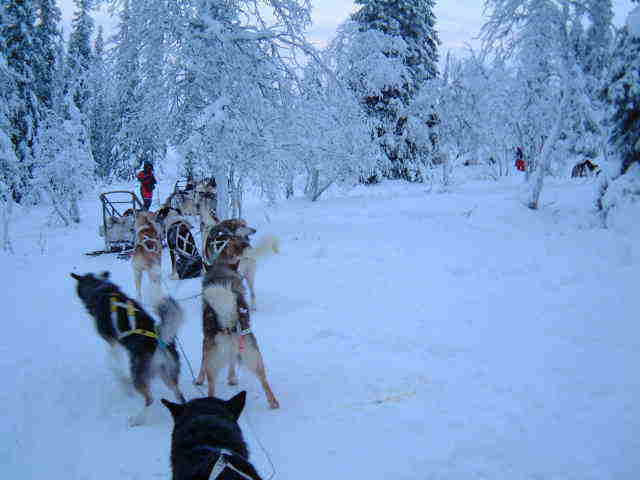 ���肽���Ă�����������n�X�L�[������