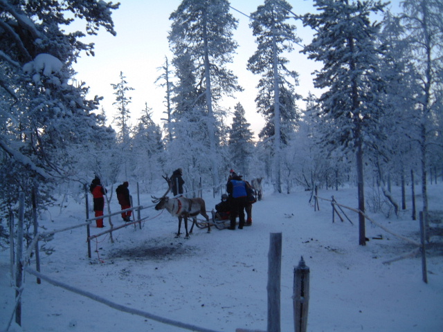 �g�i�J�C�q��