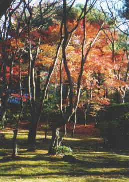 �_�����̍g�t