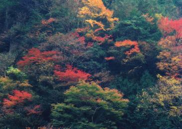 �P�􎛂���̒���